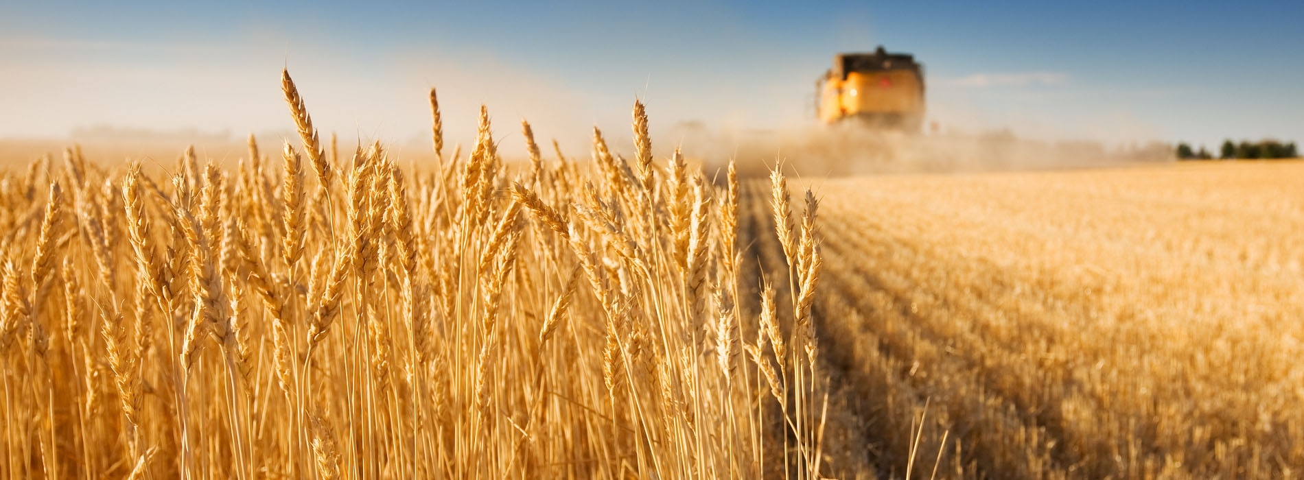 Ihre Existenzsicherung in starken Händen: seit über 130 Jahren vertrauen uns die Menschen in der Region.
Weiterlesen